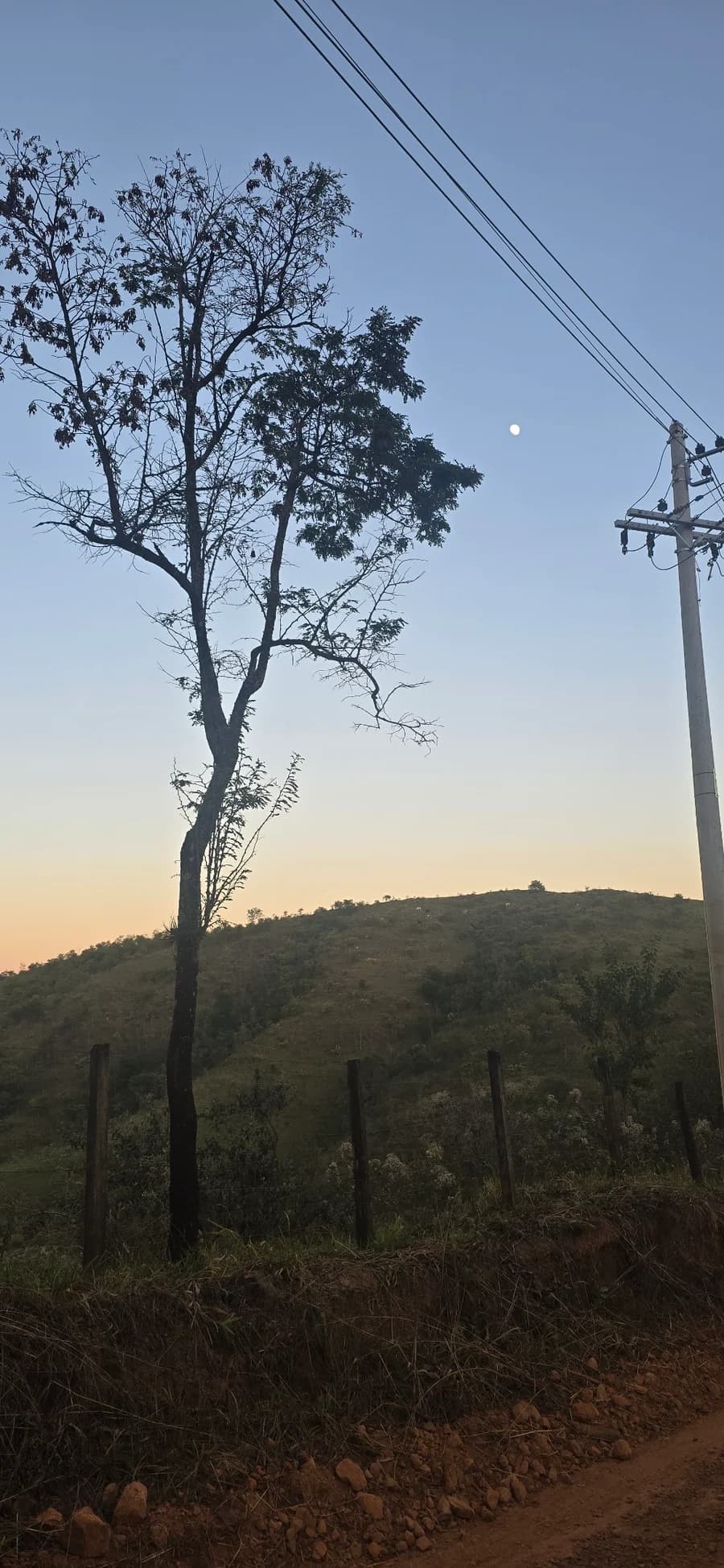 Árvore e relevo vistos no início da visita de campo