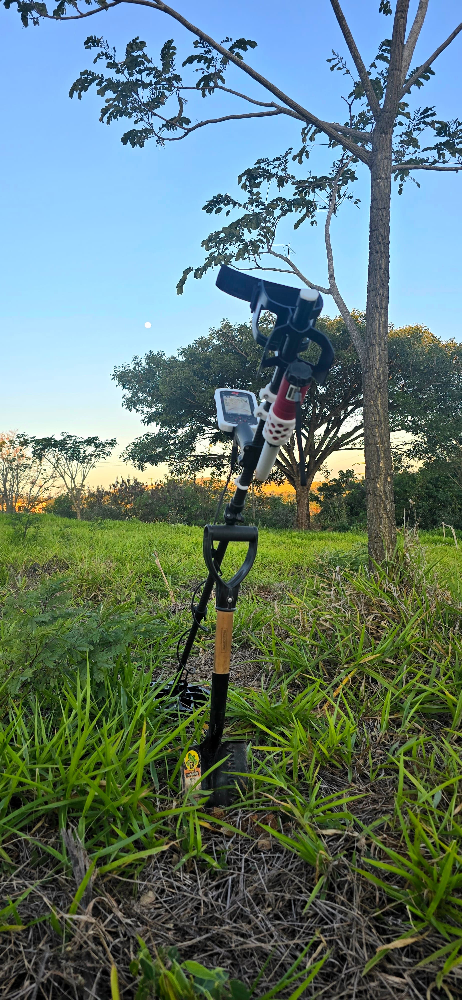 Detector de metais sob uma árvore na Fazenda Santanna, em Sousas